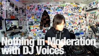 Nothing in Moderation with DJ Voices @TheLotRadio 03-29-2023