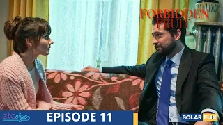 Forbidden Fruit Episode 11 | FULL EPISODE | TAGALOG DUB | Turkish Drama