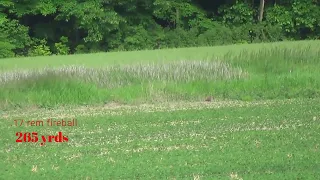 Groundhog Hunt 66 Savage 12 lrp  243 Rem 700  17 rem Fireball