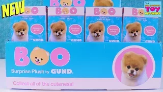 Boo Cutest Dog Surprise Plush Mystery Blind Box Series 1 Gund Toy Review | PSToyReviews