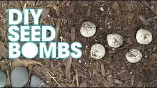 How to Make Seed Bombs Pop Shop America