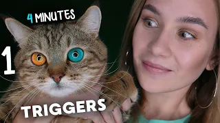 ASMR 100 TRIGGERS IN 4 MINUTES, АСМР 100 ТРИГГЕРОВ ЗА 4 МИНУТЫ, ОЧЕНЬ БЫСТРОЕ АСМР, SUPER FAST ASMR