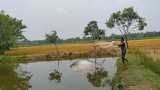 Most Satisfying Cast Net Fishing Video - Traditional Net Catch Fishing in The River, Fantastic Fish