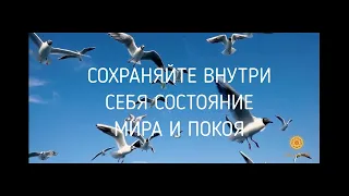 МИР И ПОКОЙ ВНУТРИ. Научно-исследовательский эксперимент.