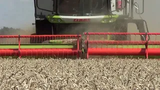 CLAAS LEXION II – maszynydlafarmeraPL – z pola