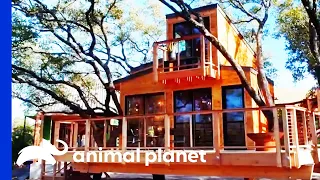 Sleek And Modern Treehouse With An Outdoor Shower | Treehouse Masters