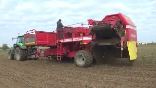 Уборка картофеля в Беларуси: Deutz-Fahr Agrotron 6215 c Grimme SE260 трудится на полях СПК "Гигант"