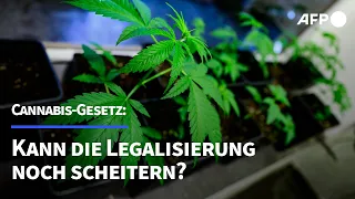 Cannabis-Gesetz: Kann die Legalisierung noch scheitern? | AFP