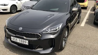 SKOREACAR- Kia Stinger 2019 . Авто из Южной Кореи