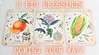 3 BIG Blessings Coming YOUR Way!✨| Pick A Card Tarot Reading