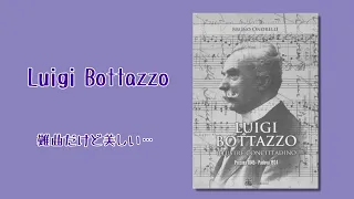 Luigi Bottazzo リードオルガン