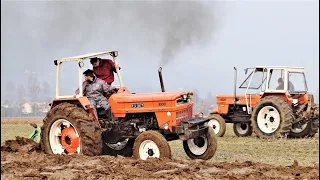 ITALIAN LEGENDS | Old FIAT Tractors at work! **EXTREME SOUND**