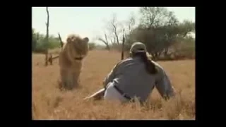 Человек против льва(Африка) - эксклюзивное видео 2016
