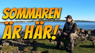 Nu Vet Vi Att Sommaren Är Här! | Fiskelycka