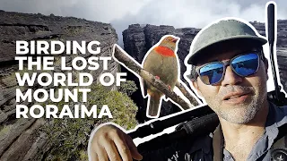 Journey to the Lost World of Mount Roraima: Birding and Exploring Nature's Hidden Paradise