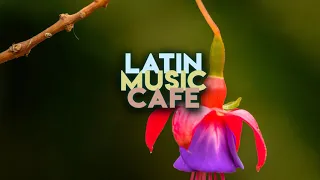 RobBe - Baiana (RobBe Remix) | Latin Music Cafe ☕