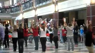 Flash Mob Fun - FlashMob Extreme 245