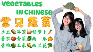 11 Vegetables in Chinese|有趣的蔬菜 儿童中文课|Mandarin learning for Children|Chinese lesson for kids 幼儿学习中文