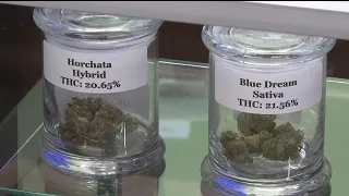 Marijuana sales down across Colorado in the last year