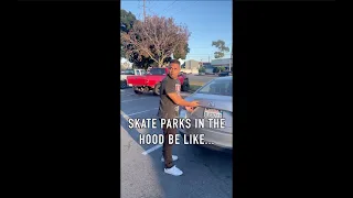 Skate Parks in The Hood be Like...