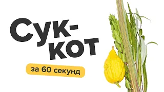 Суккот за 60 секунд