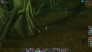 From where to get - Songflower Serenade Buff, WoW Classic