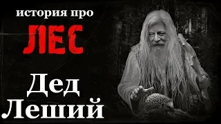 Истории на ночь: Дед Леший