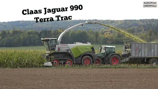 Auf leisen und kräftigen Sohlen durch den Mais - Claas Jaguar 990 TT - Maisernte 2022 - LU Zintl
