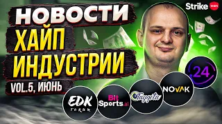 Новости хайпов за июнь: Novak Plus, Bitsports, EDK Forum, Taygeta