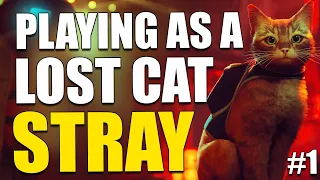 PLAYING AS A LOST CAT (But it's super relaxing) | "Stray" Walkthrough on PS5 (Part 1)