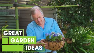 How to Create BEAUTIFUL Hanging Baskets on a Budget | GARDEN | Great Home Ideas