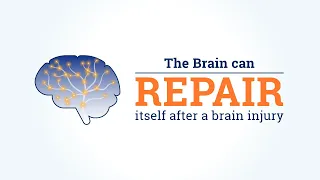 The brain can repair itself after a brain injury. Here’s how.