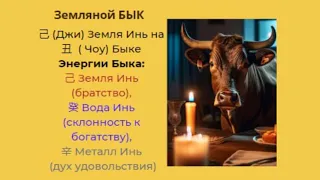 Энергии быка. Столпы Ба Цзы #ЗояБубнова