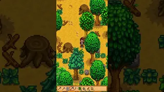 When You're New To Stardew Valley...