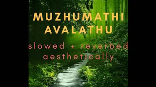 Muzhumathi Avalathu (slowed + reverbed) 🇼‌🇮‌🇹‌🇭‌  🇫‌🇴‌🇷‌🇪‌🇸‌🇹‌  🇧‌🇮‌🇷‌🇩‌🇸‌