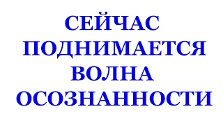 СЕЙЧАС ПОДНИМАЕТСЯ ВОЛНА ОСОЗНАННОСТИ, ОПИСАНИЕ КНИГИ ПОД ВИДЕО 02 и 16.04.2007 Трехлебов  2023,2024