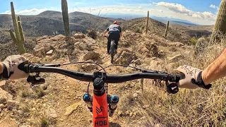 Somebody’s gonna get a cactus today! | Mountain Biking Mt. Lemmon