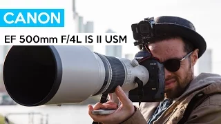 Canon EF 500mm f/4L IS II USM | 9000$ | SUPER TELEPHOTO LENS | WILDLIFE | english review