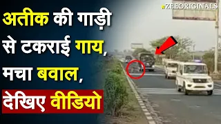 Atiq Convoy Accident News: Atiq Ahmad की गाड़ी से टकराई गाय, मचा बवाल, देखिए वीडियो | Atiq Convoy Cow