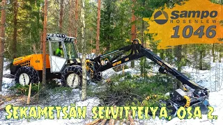 Sampo Rosenlew 1046 sekametsän selvittelyä, osa 2/3.🌲🌳