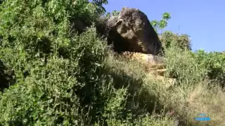 AS 30 + SERTANEJAS ANOS 70. 80. 90 - imagens de POÇOS DE CALDAS (MG) à SÃO SEBASTIÃO DA GRAMA (SP)