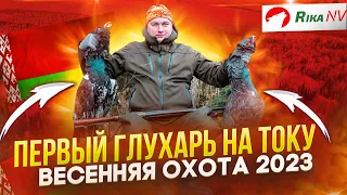 Первый глухарь в России! Весенний сезон охоты 2023