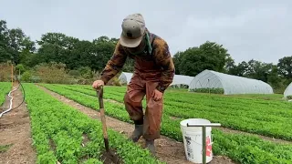 Soil Testing at Gaining Ground