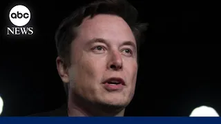 Elon Musk calls for artificial intelligence pause