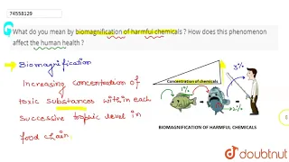 What do you mean by biomagnification of harmful chemicals ? How does this phe