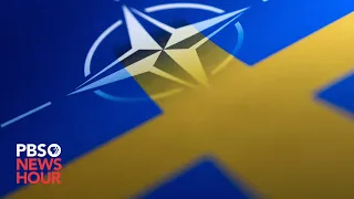 WATCH: Sweden officially joins NATO