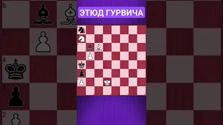 💥КОНЬ ВСЕГДА ВЫРУЧАЕТ!