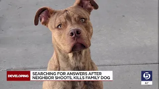 Ogden Family Searches For Answers After Neighbor Shoots, Kills Dog