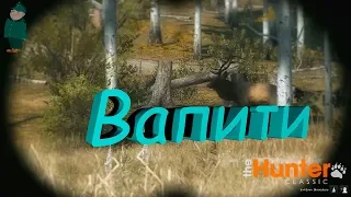 theHunter Classic. Охота на оленя-вапити.