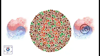 Colour Blindness Test for Skill Test In Korea 2020_ 2021.